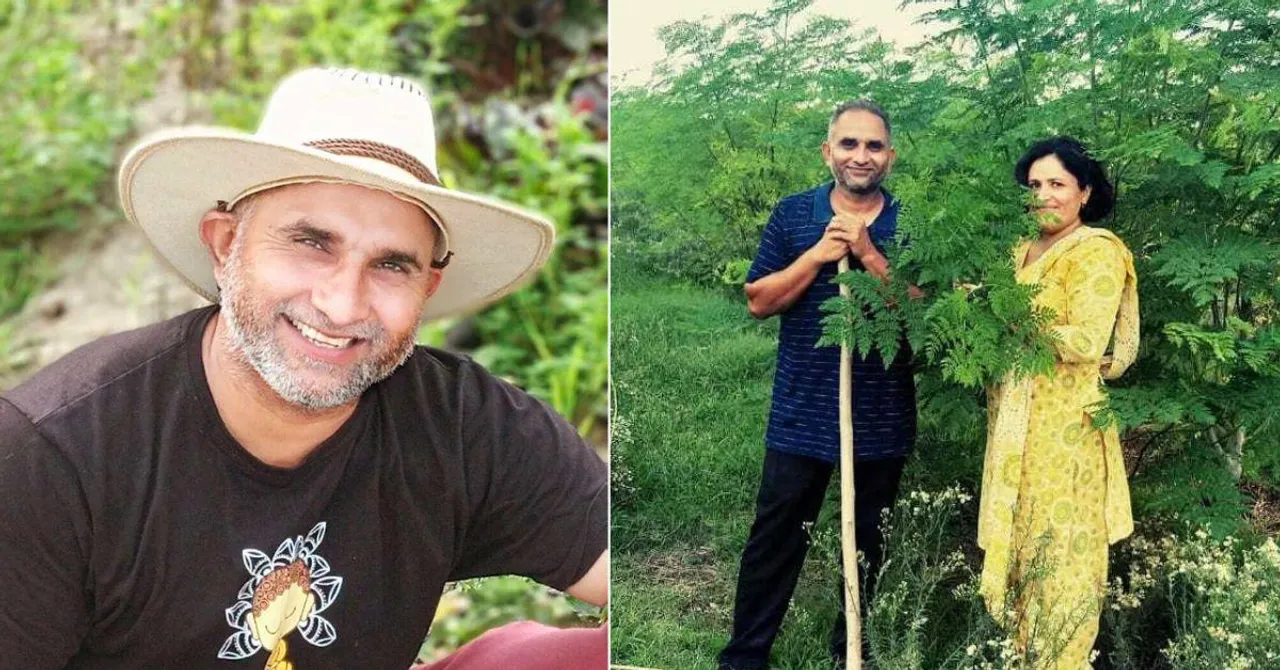 Haryana Techie Turns Organic Farmer, Builds a Profitable Moringa Business With His Wife