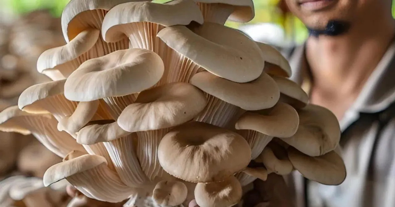 How To Start Small-Scale Mushroom Farming at Home: A Beginner’s Guide