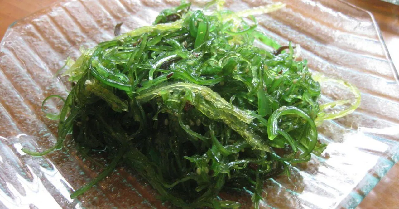 Turn Your Aquarium Into a Seaweed Farm: Simple Steps To Grow Greens at Home