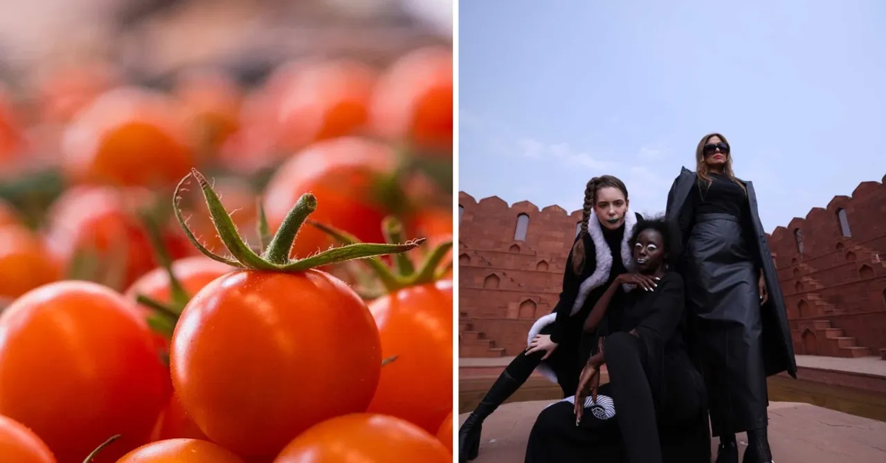 Using Tomato Waste, This Startup Creates a Sustainable Replacement for Animal Leather