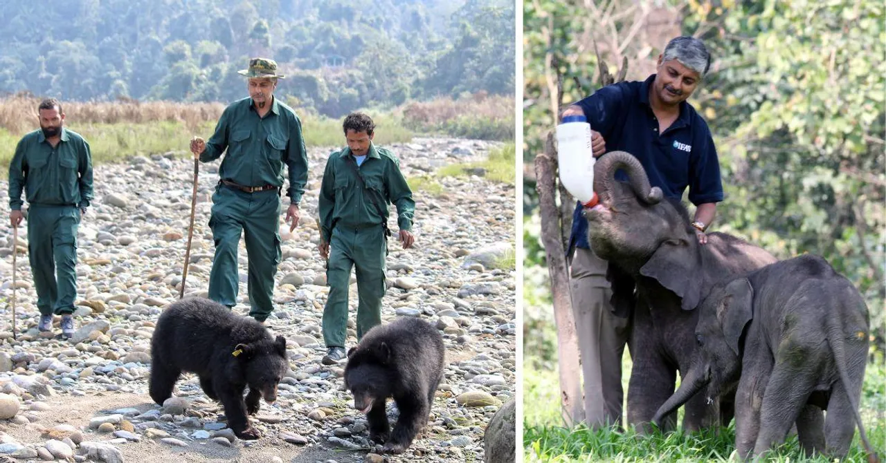 From Saving Elephants to Cremating Unclaimed Bodies: 10 Heroes Quietly Shaping India's Tomorrow