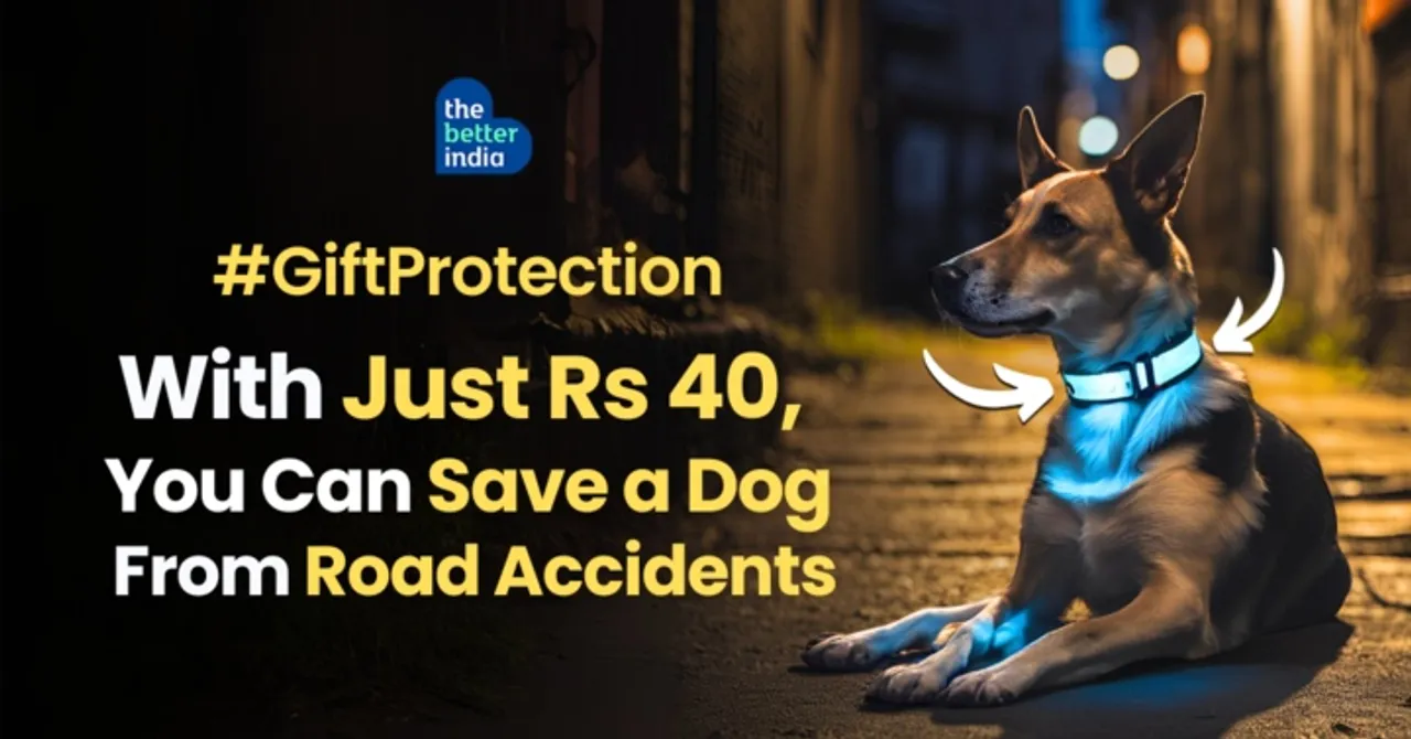 Would You Spend Rs 40 to Save a Street Dog From Danger?
