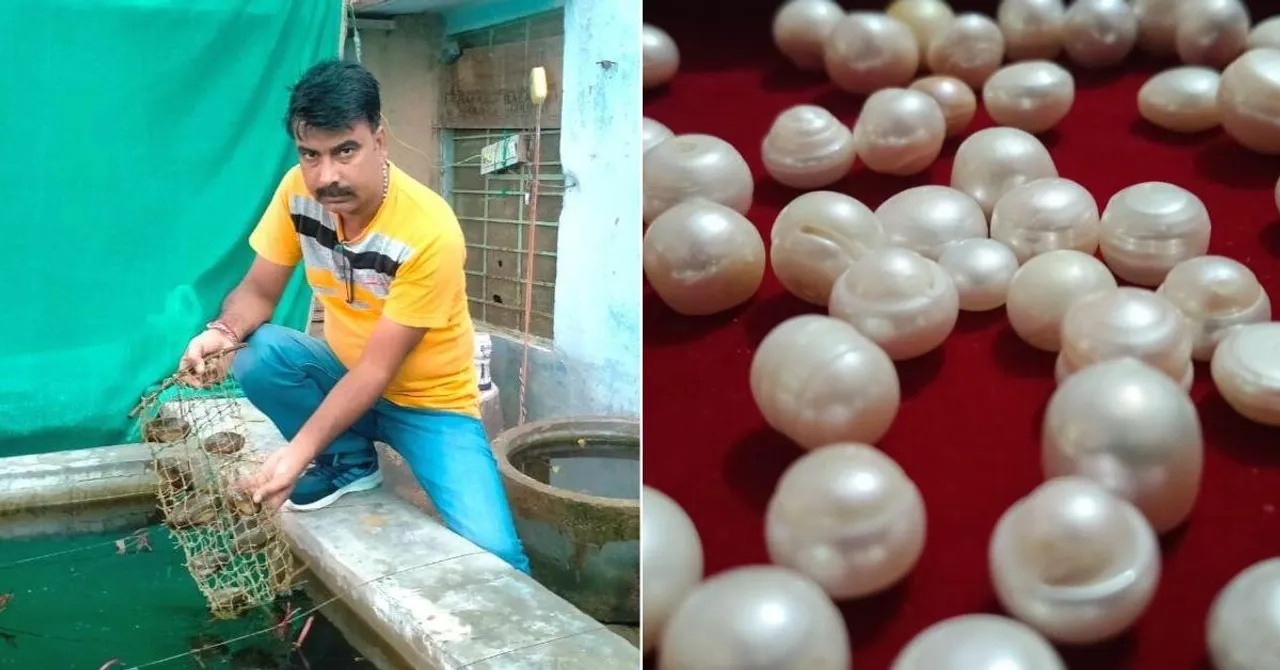 Rs 15 Lakh Pearl Farming Success: YouTube Mistake Changed a Rajasthan Bookseller’s Life