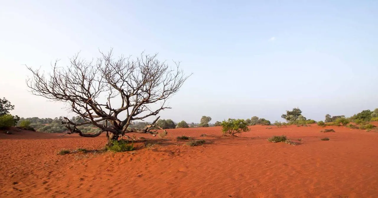 Not Rajasthan! This Surreal Desert in Tamil Nadu Will Leave You Stunned