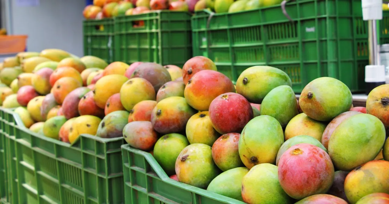 Are Your Mangoes Safe? How to Spot Artificially Ripened Ones