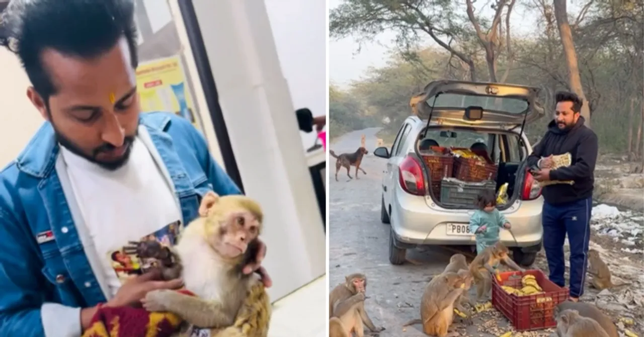 ‘People Called Me an Attention Seeker’: Why He Left Modelling to Rescue Paralysed Monkeys