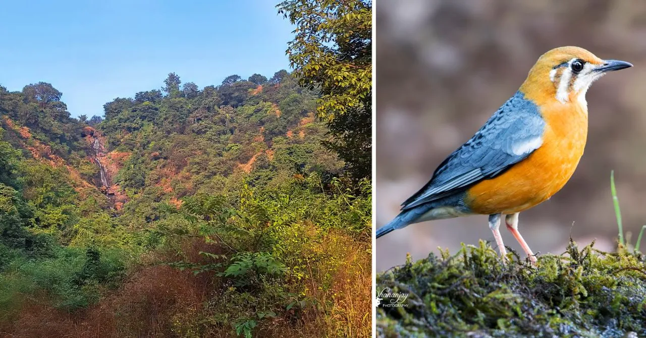 With Love for Their Land, These Young Locals Made Their Maharashtra Village a Place Worth Visiting Again