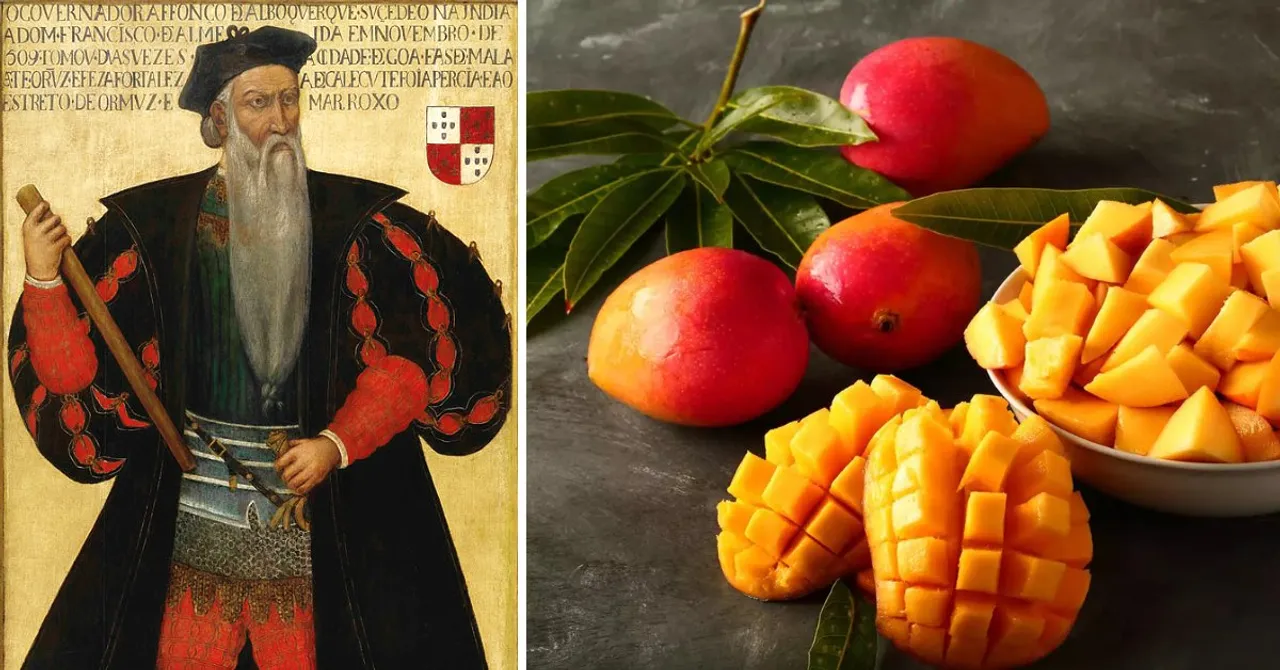 400 Years Ago, A Portuguese Viceroy’s ‘Table Manners’ Gave India Its Beloved Alphonso