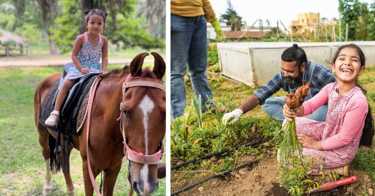 Indian Farmstays for Fruit Picking, Horse Riding & Star Gazing With Your Kids This Summer