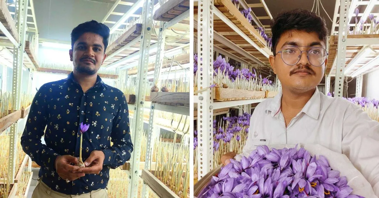 How Two Young Engineers From Gujarat Built a Rs 9 Lakh/Kg Indoor Saffron Business