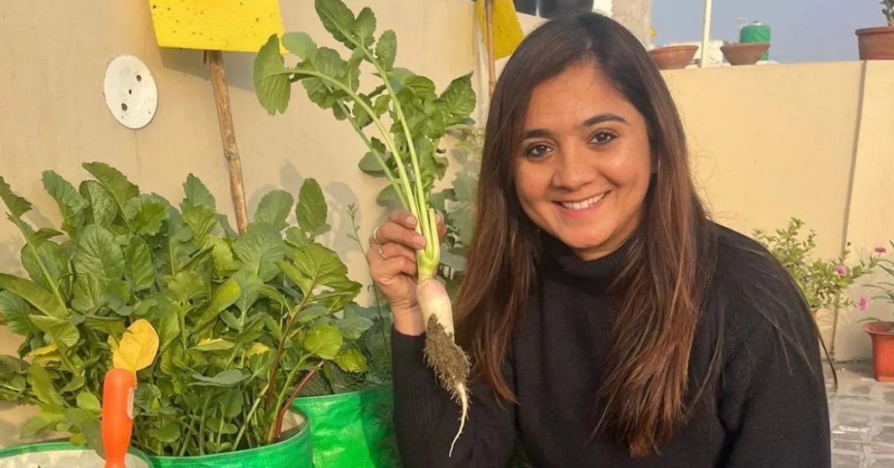 How to Grow Cherry, Bitter Gourd & Chillies on Your Terrace: 7 Tips From a Ludhiana Gardener