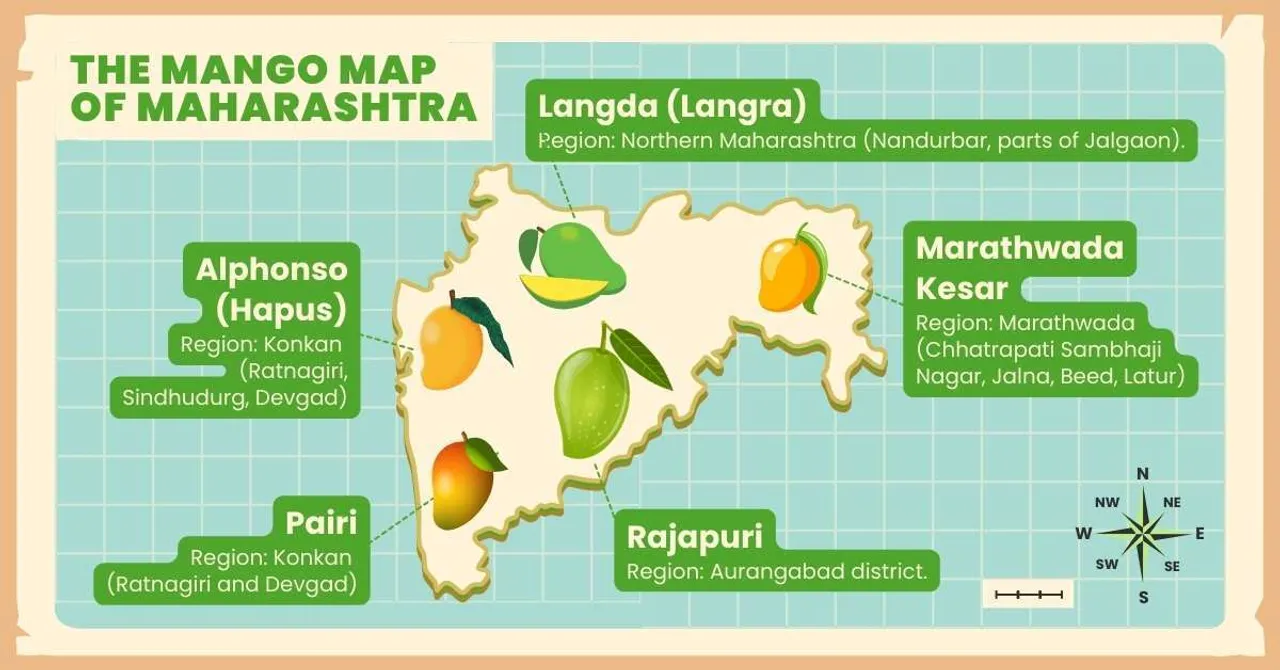 Maharashtra's Mango Map: The Untold Story of Mangoes Beyond Alphonso