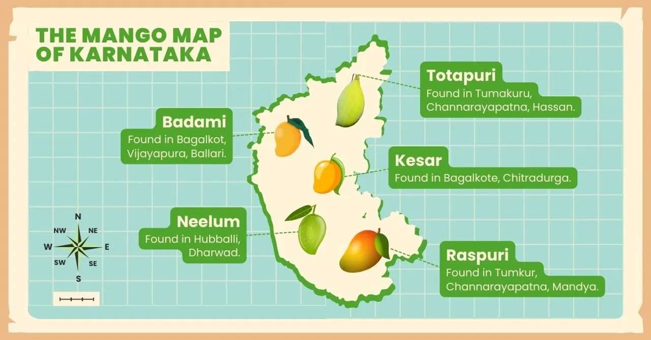 The Mango Map of Karnataka: A Delicious Guide to Local Varieties, From Raspuri to Totapuri