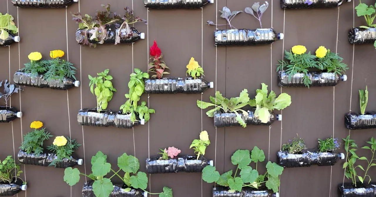This Summer, Build a Vertical Garden at Home Using Just Plastic Bottles — It’s Easier Than You Think