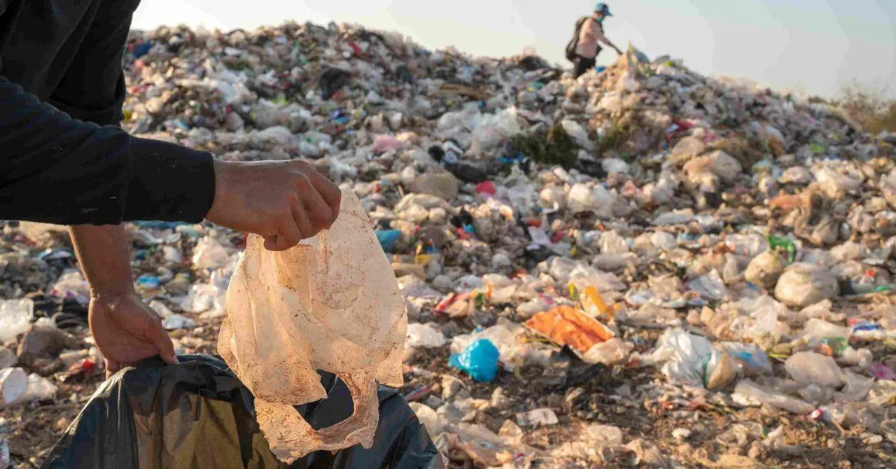 What Happens When You Don’t Segregate Kitchen Waste? A Reality Check