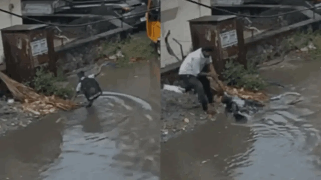 Chennai Man’s Heroic Rescue of Electrocuted Child Shows Why CPR Knowledge Matters