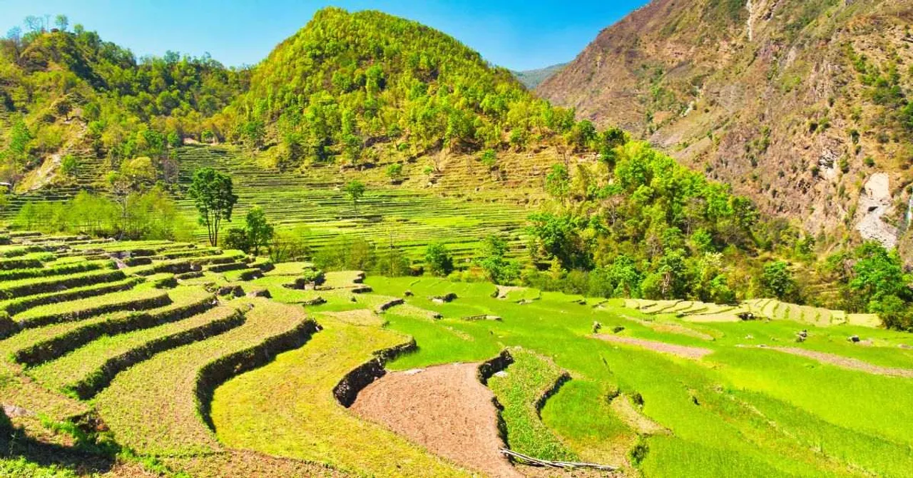 The State That Did It First: How Sikkim Went 100% Organic & Changed Indian Farming