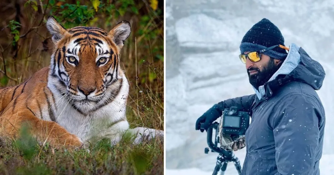 'The Forest Has Changed How I See Myself': A Wildlife Photographer Reflects on 15 Years in the Wild
