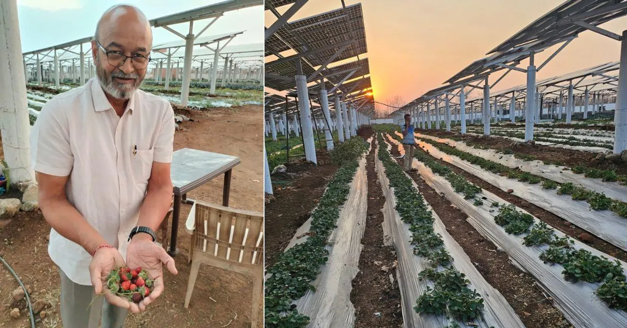 Meet The IITian Growing Organic Food Under India’s Largest Agrivoltaic Solar Plant