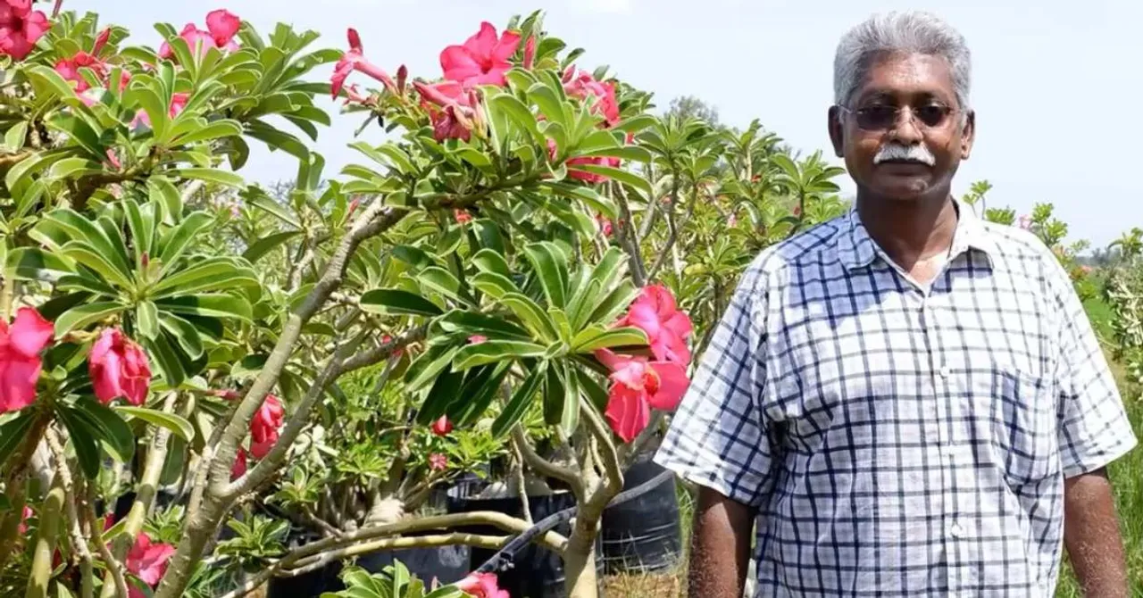 How This Chennai Man Turned a Desert Rose into a Blooming Rs 60 Lakh Business