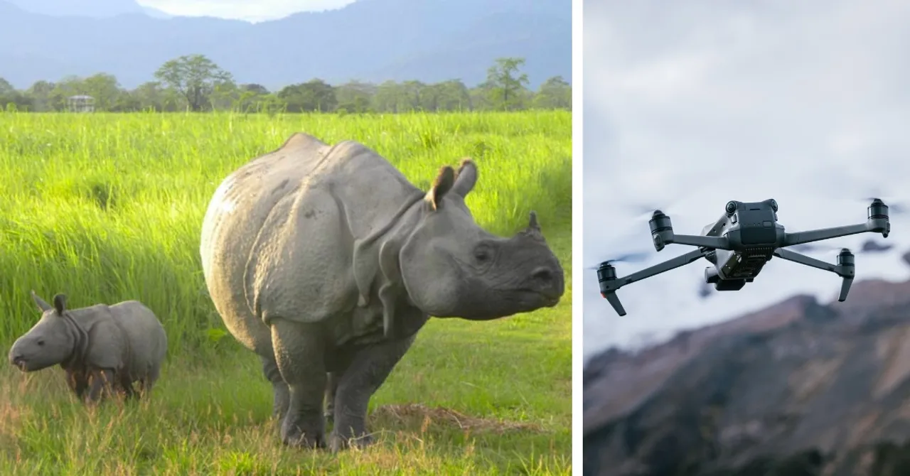 How Wildlife Drones Became Kaziranga’s Best Defence for Saving Rhinos From Poachers
