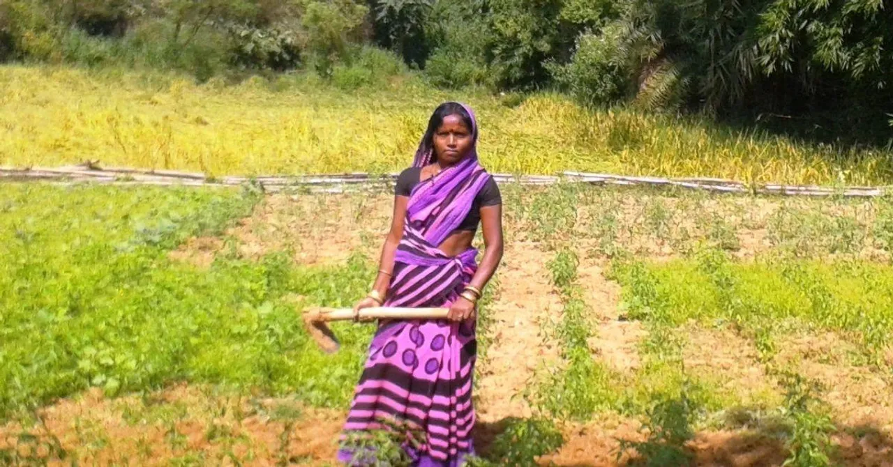 PM-Kisan 20th Instalment: How Farmers Can Register & Complete e-KYC to Get Rs 2,000