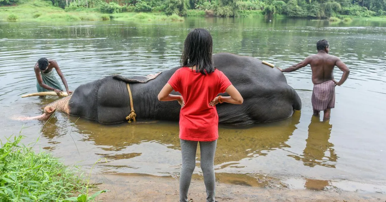 How to Plan a Kid-Friendly Wildlife Safari in India