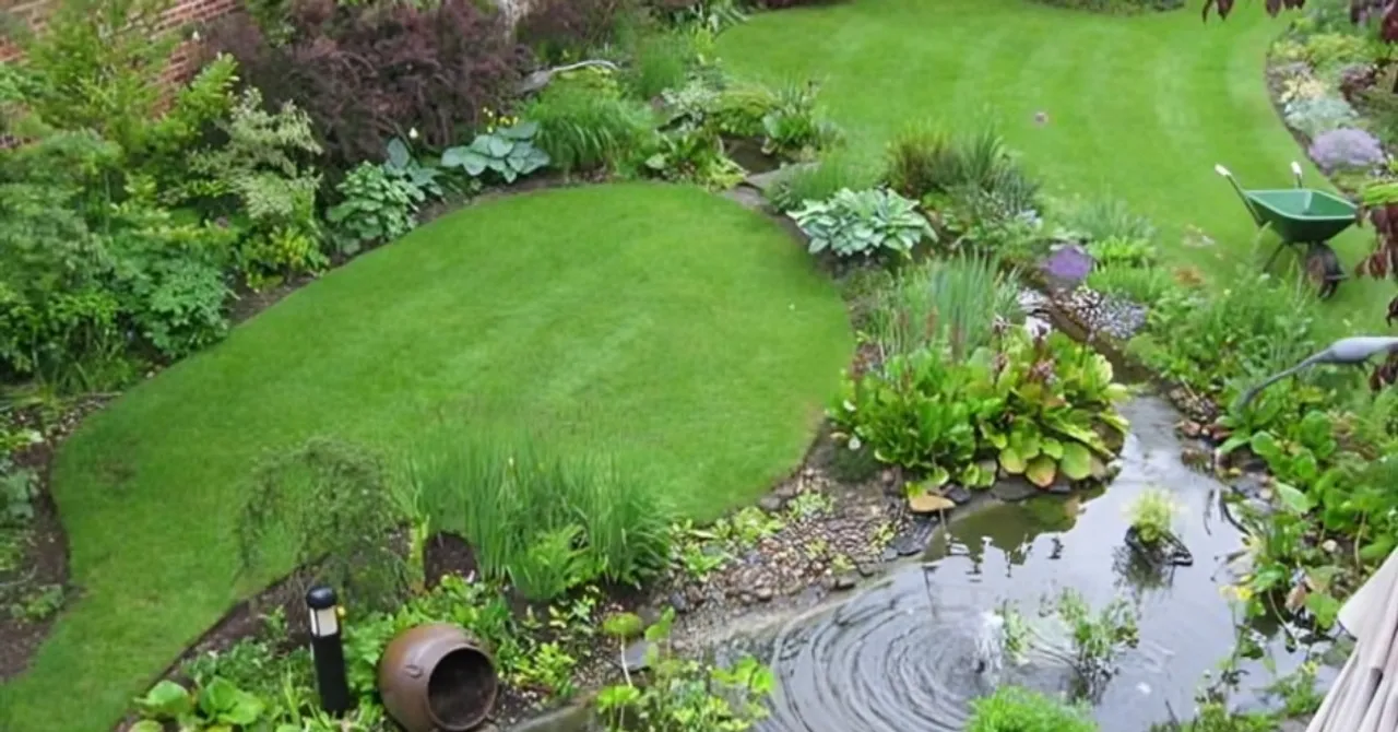 Turn Your Garden into a Monsoon Wildlife Haven with These Simple Tips