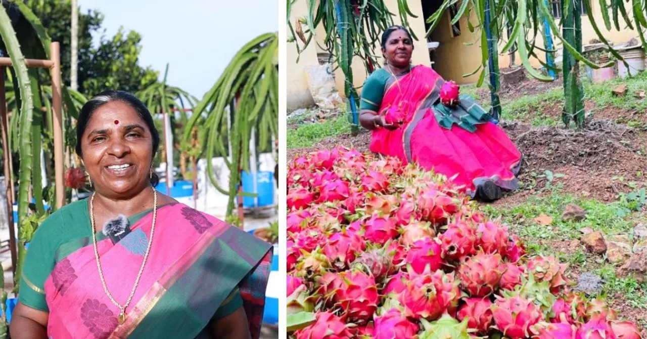 Retired Kerala Woman Grows Dragon Fruits Without Soil & Earns Rs 1 Lakh/Month