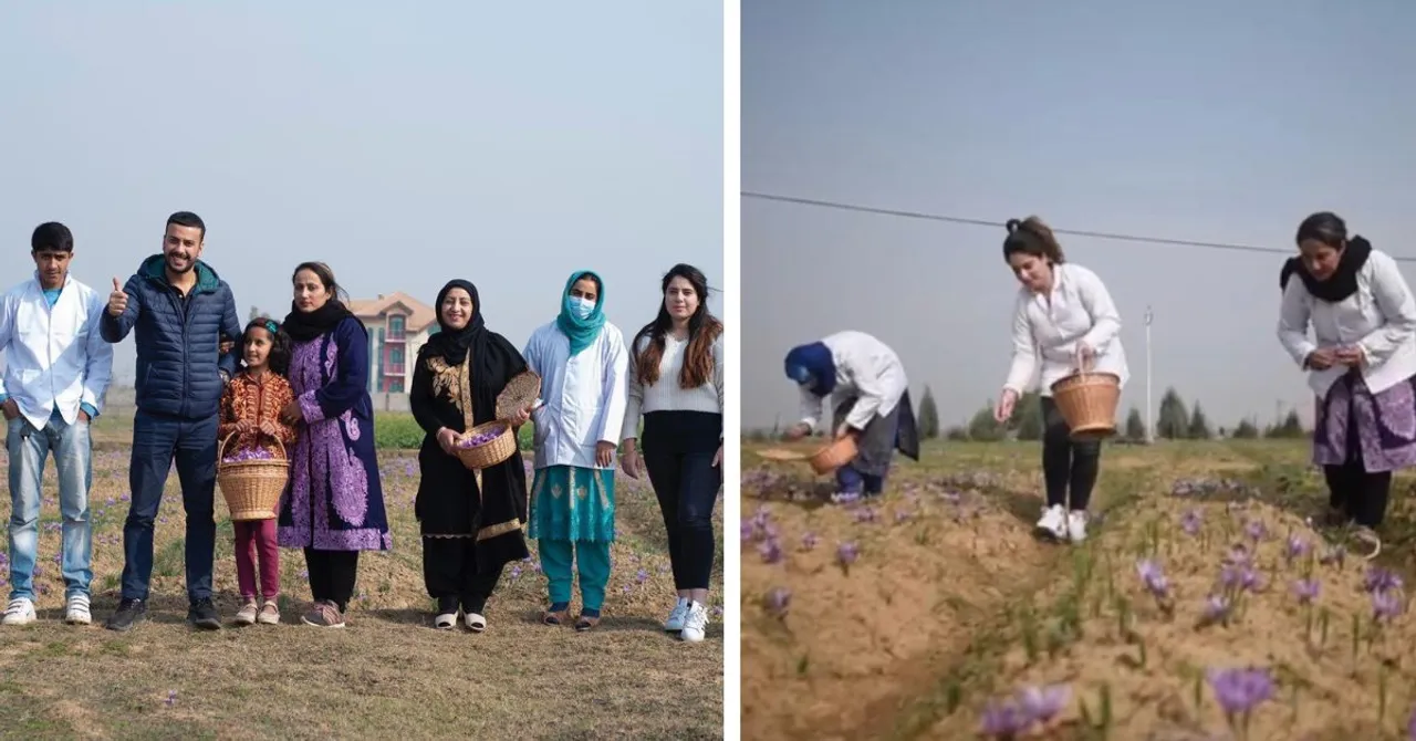 How a Kashmiri Family is Taking Saffron to the World While Empowering Local Artisans & Farmers