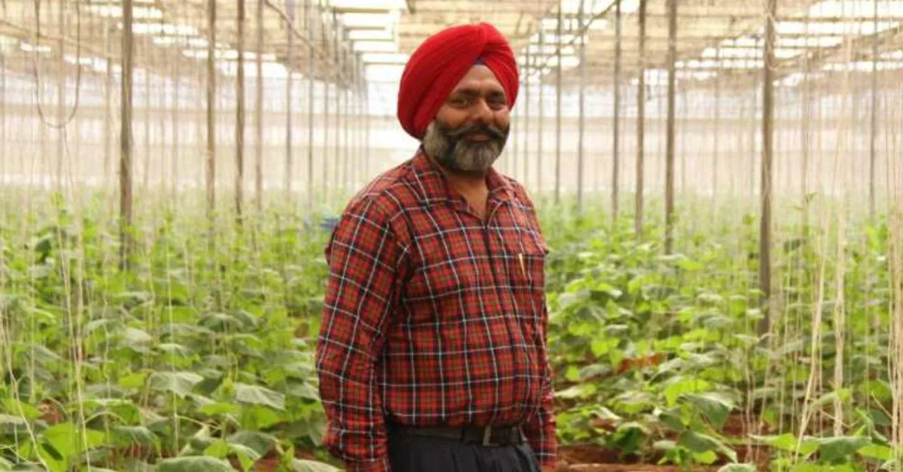 US Visa Rejection Was Not the End for Him: Meet the 56-YO Empowering 230 Farmers in Punjab Village