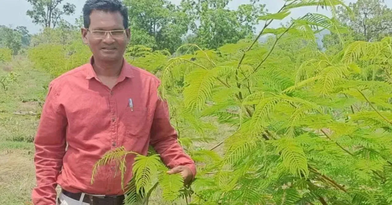This Class 12 Pass Farmer Earns Rs 8 Lakh/Year With Lac Trees in Chhattisgarh