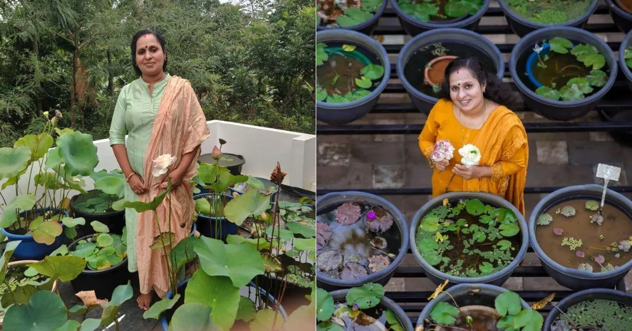 Kerala Teacher Turns Gardening Hobby Into Rs 40K/Month Lotus & Lily Business