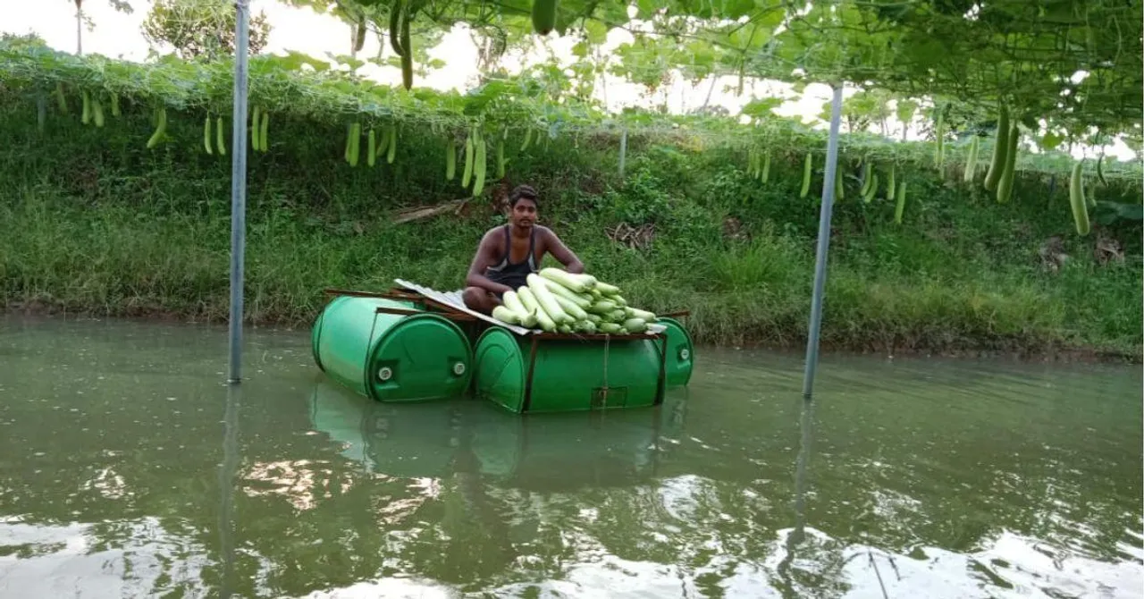 Odisha Farmer Earns Rs 35000 Extra With a Smart Farming Idea Over a Pond