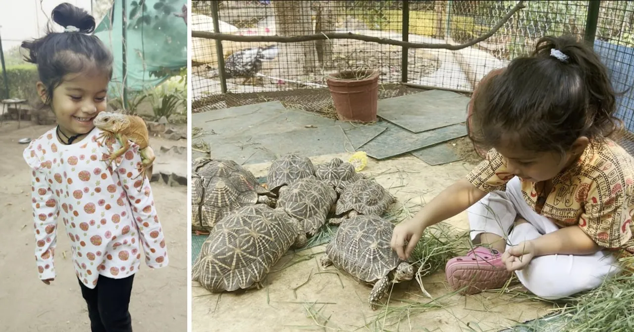 Watch: 4-YO Ahmedabad Girl Fearlessly Rescues Snakes, Turtles, Rabbits & More!