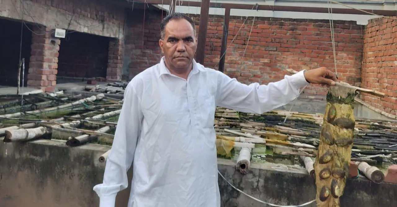 How an Online Ad Inspired 2 Factory Workers to Build a Rs 1 Cr Pearl Farming Business