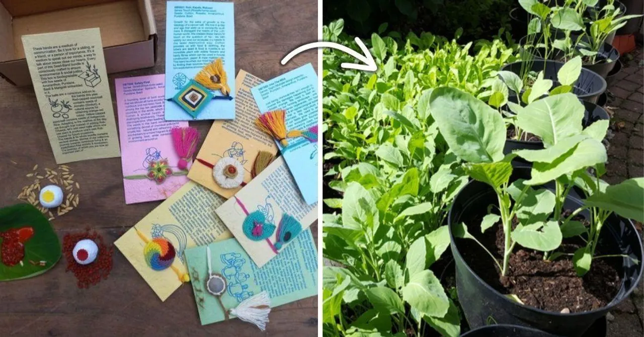 This Raksha Bandhan, Buy a Rakhi That Turns Into a Garden!