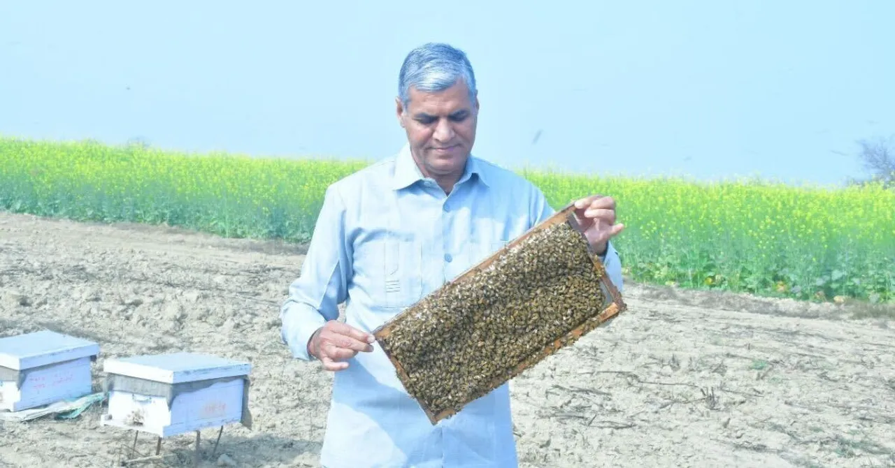 Haryana Teacher Builds Rs 2 Cr Honey Empire, Trains 500+ Farmers