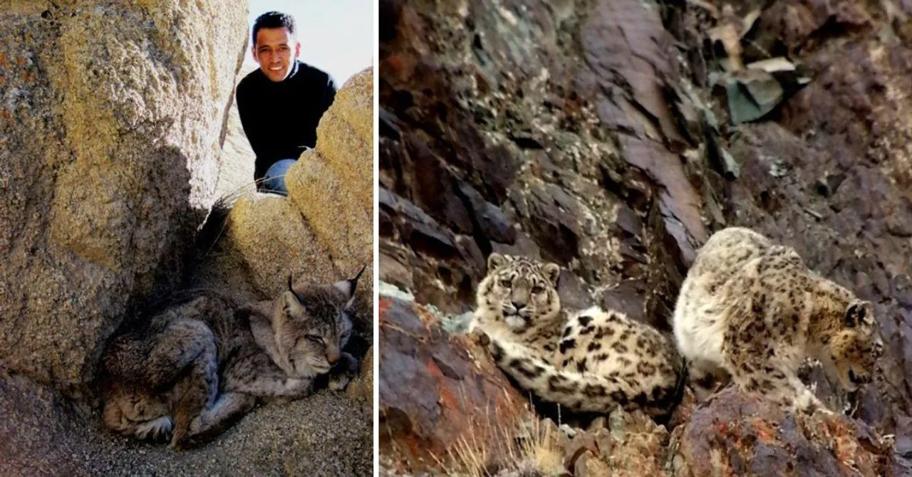 This Ladakhi Hero Has Rescued 47 Snow Leopards With Just a Blanket & Net