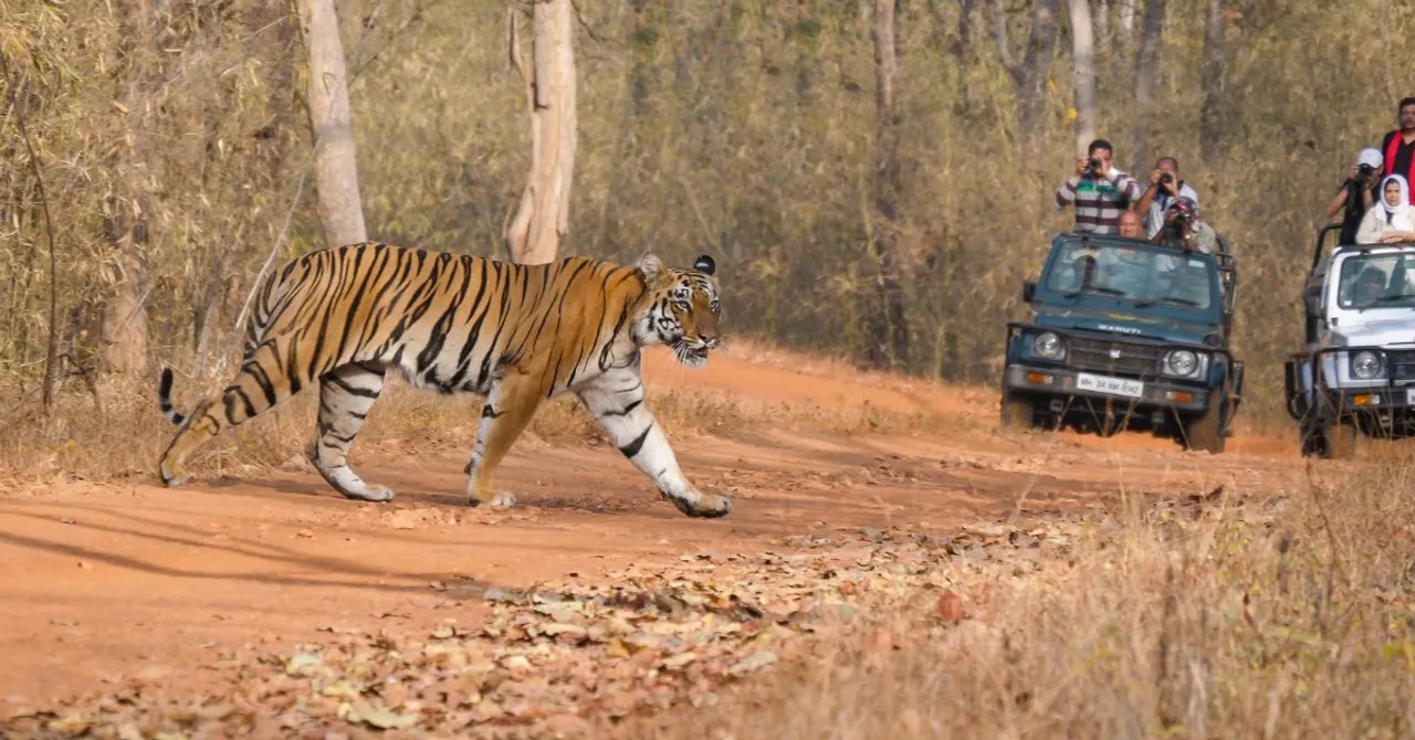 5 Wildlife Parks in India That Kids (and Parents) Will Love