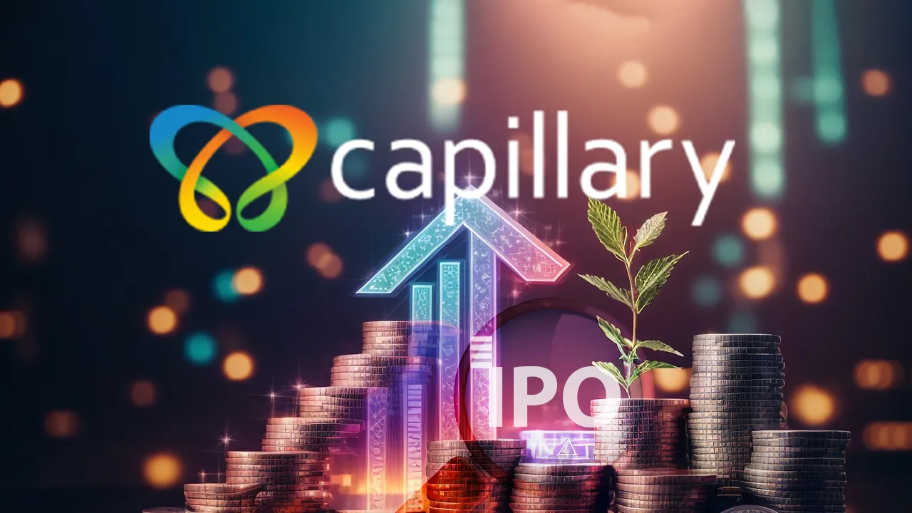 Capillary