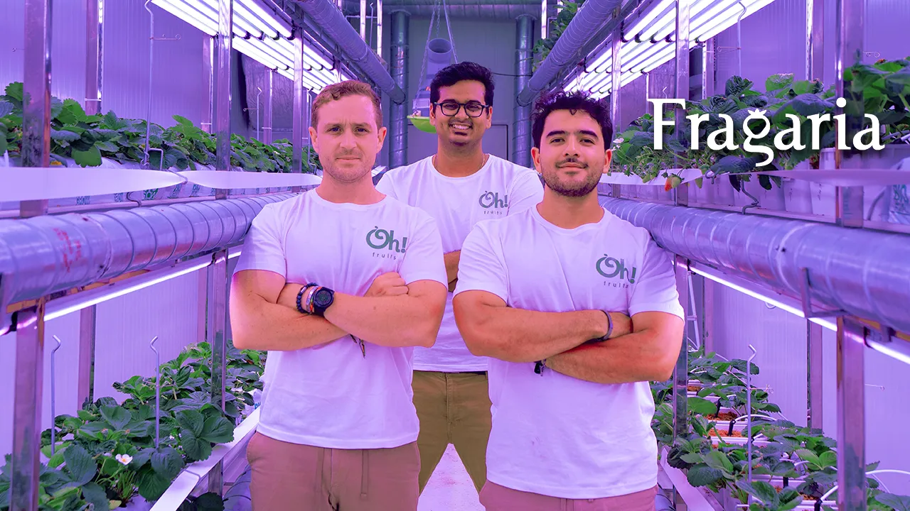 Fragaria