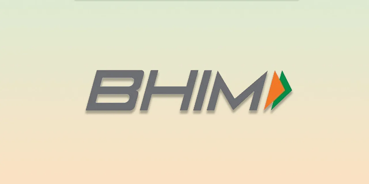 BHIM’s market share in UPI falls below 1% for three consecutive months