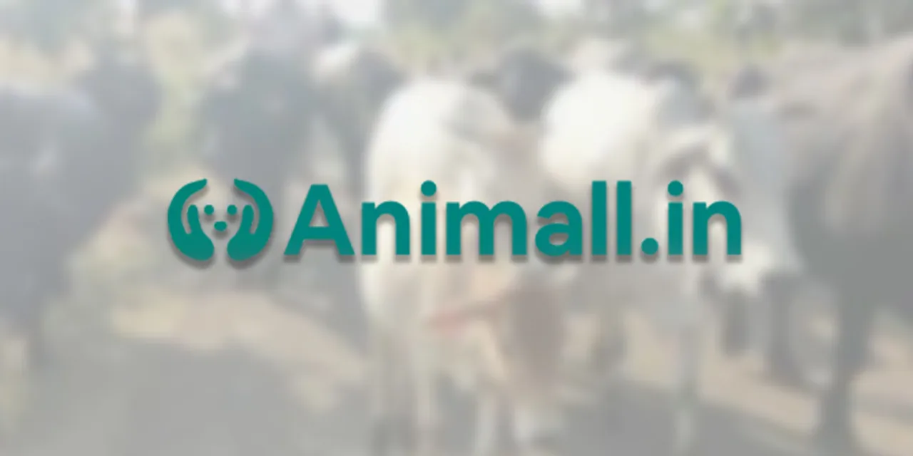 Animall