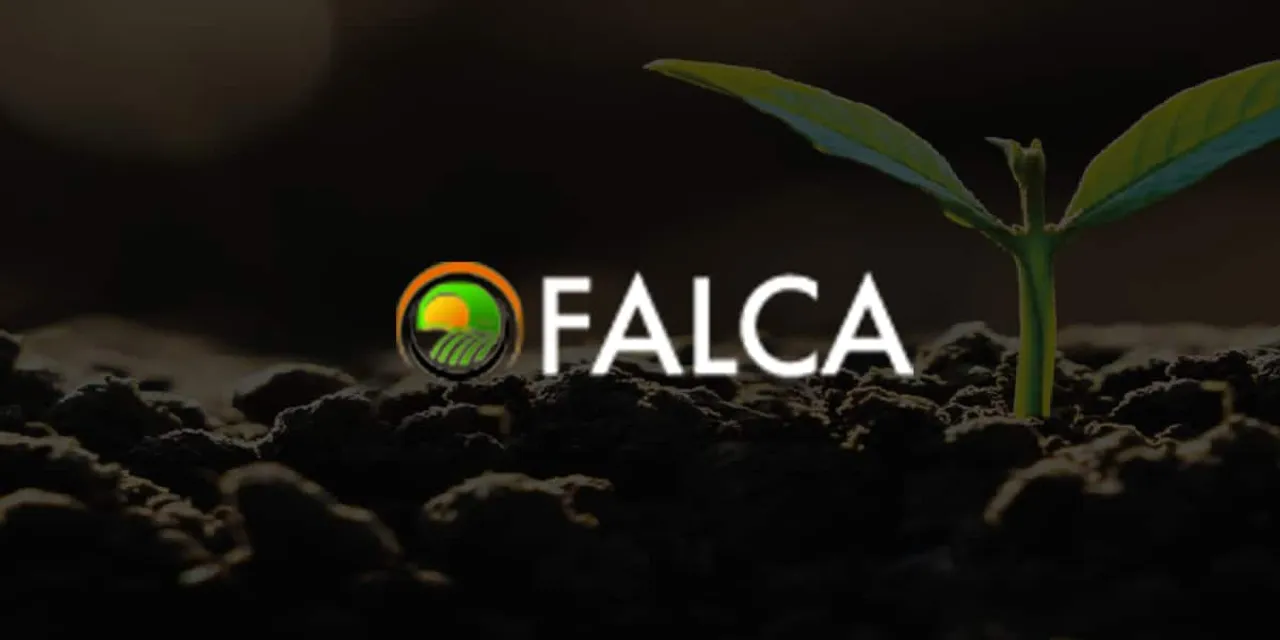 Agritech startup Falca raises over $3 Mn in pre-Series A
