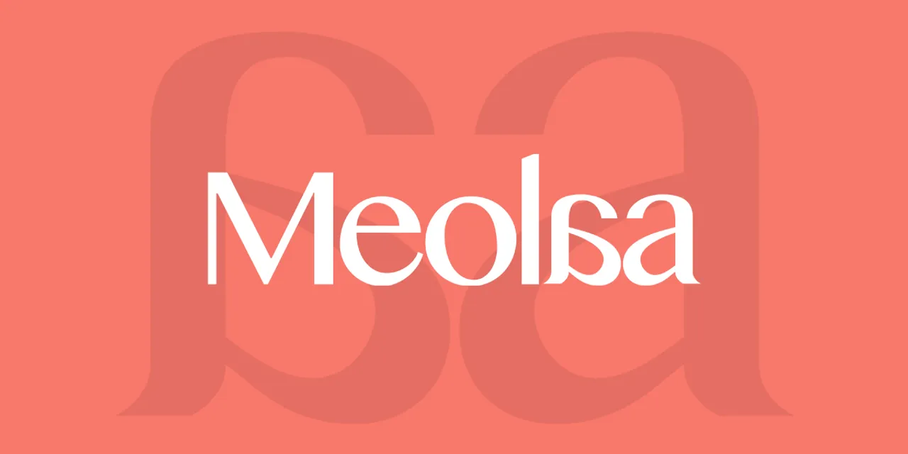 Meolaa raises $2 Mn in seed round led by Turbostart