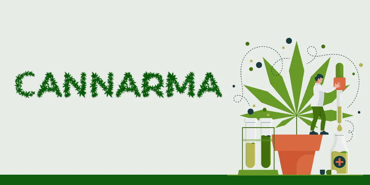Medicinal cannabis startup Cannarma raises pre-seed round