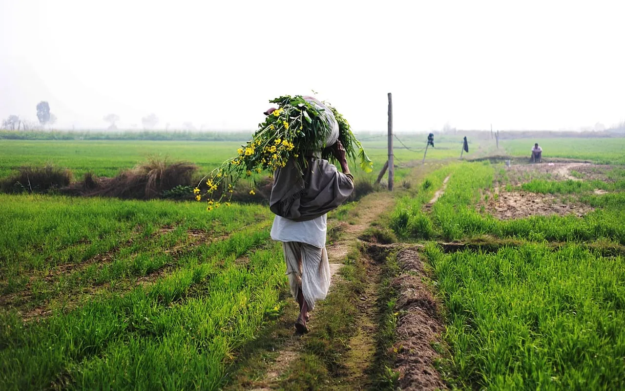 How is the climate emergency affecting farmersâ€™ harvests? 
