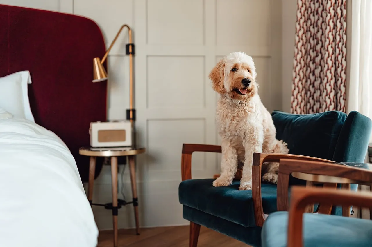 Pet-friendly places across 6 destinations in India