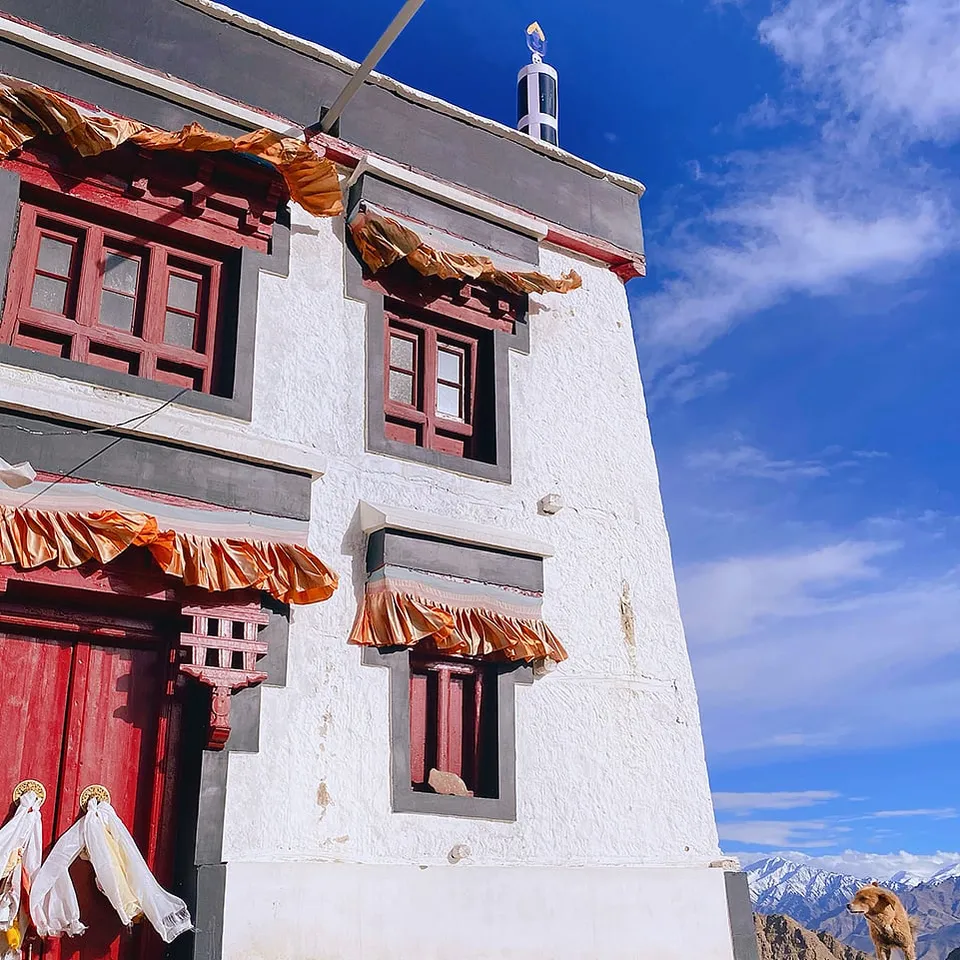 This 40-seater cafÃ© in Ladakh is a favourite among food lovers and celebrities alike